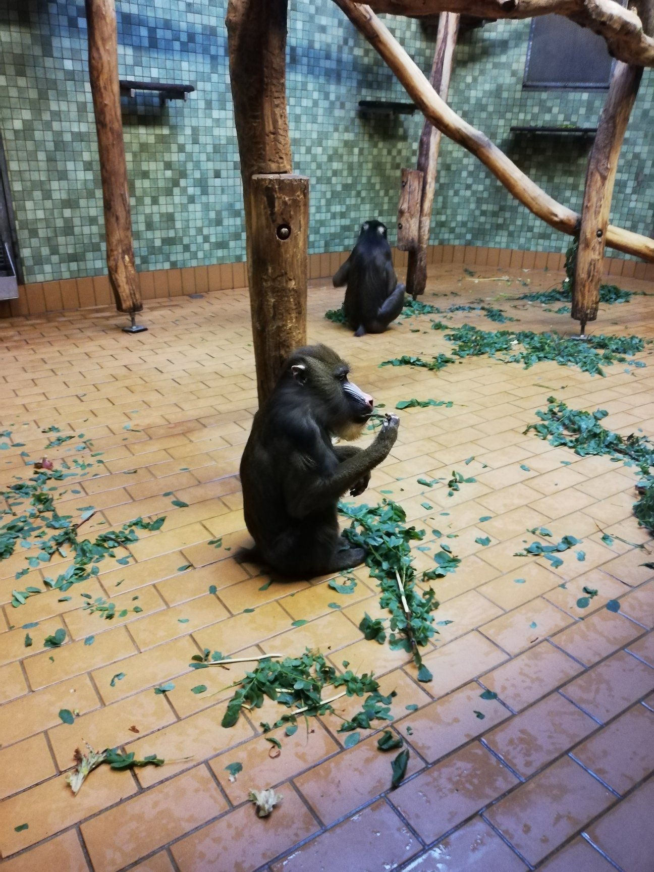 Sint-Martinus den XIIde - Winterkamp VK Berlijn